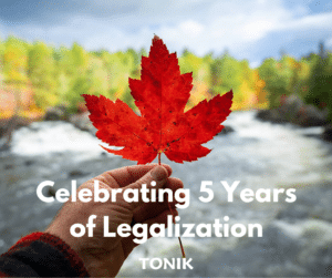 5 years cannabis legalization