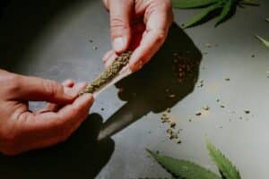 a person rolling thc dried flower into a joint