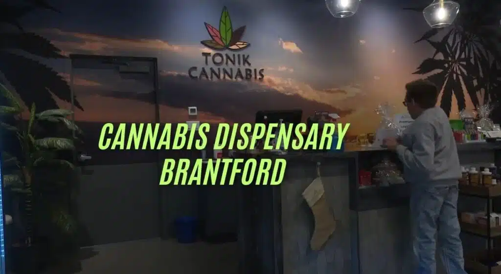 cannabis dispensary terrace hill brantford