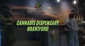 cannabis dispensary terrace hill brantford