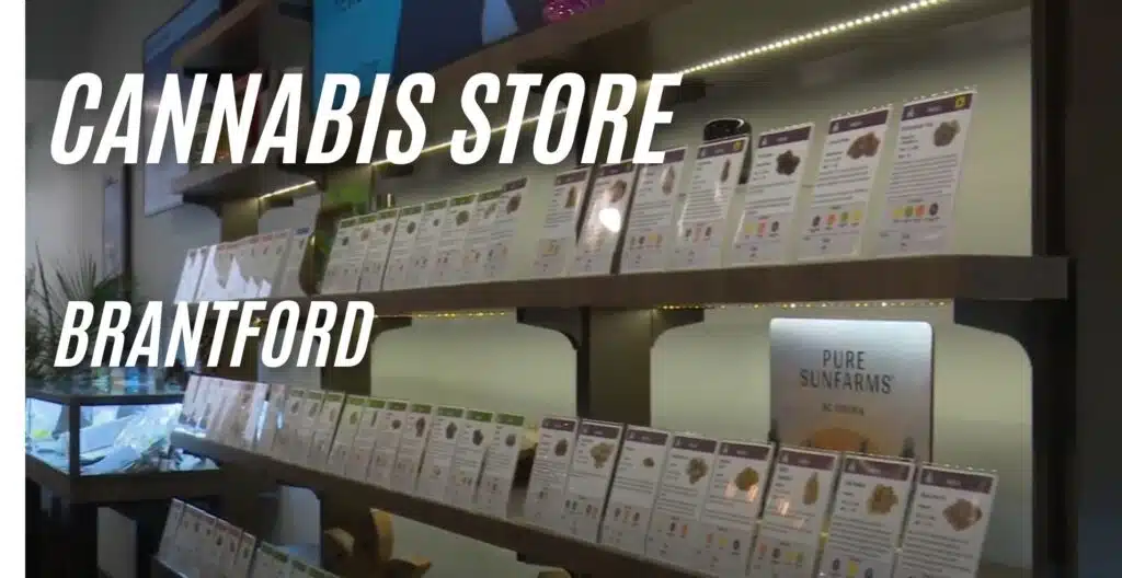 cannabis store brantford echo place