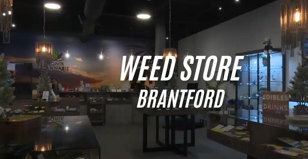 weed store brantford terrace hill