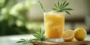 cannabis drink